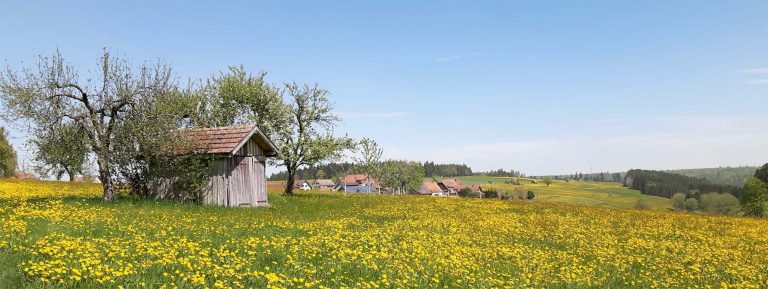 Einer der Seminarorte: Igelsberg im Schwarzwald