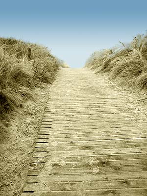 Zum Meer