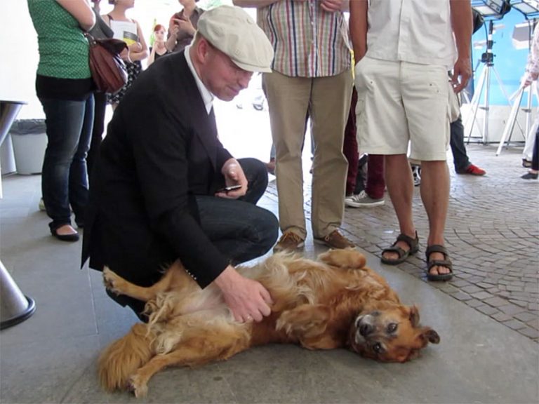 Der Jury-Vorsitzende Burkhard Spinnen krault einen Hund