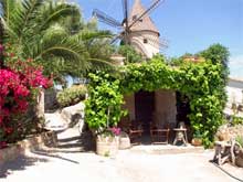 Mallorca mit Kultur: Schreibwerkstatt mit Vito von Eichborn