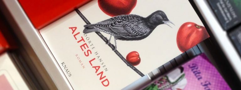 Dörte Hansen: Altes Land