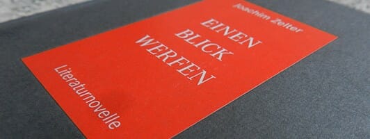 Lesetipp Literaturnovelle: Joachim Zelter, Einen Blick werfen 1